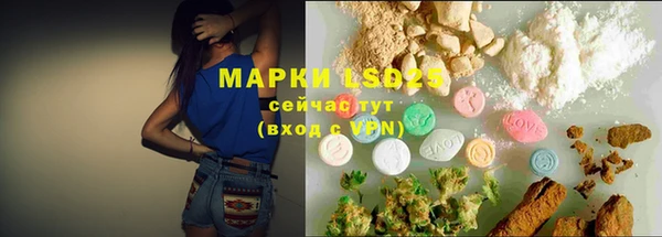 крисы Анжеро-Судженск
