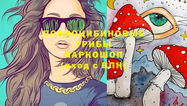 крисы Анжеро-Судженск