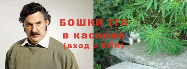 крисы Анжеро-Судженск
