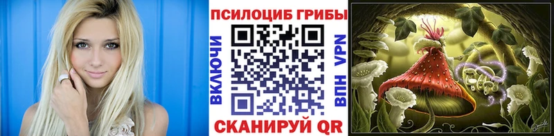 кракен   магазин  наркотиков  Данков  Галлюциногенные грибы ЛСД 